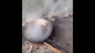 #shorts O MELHOR DOS VIDEOS