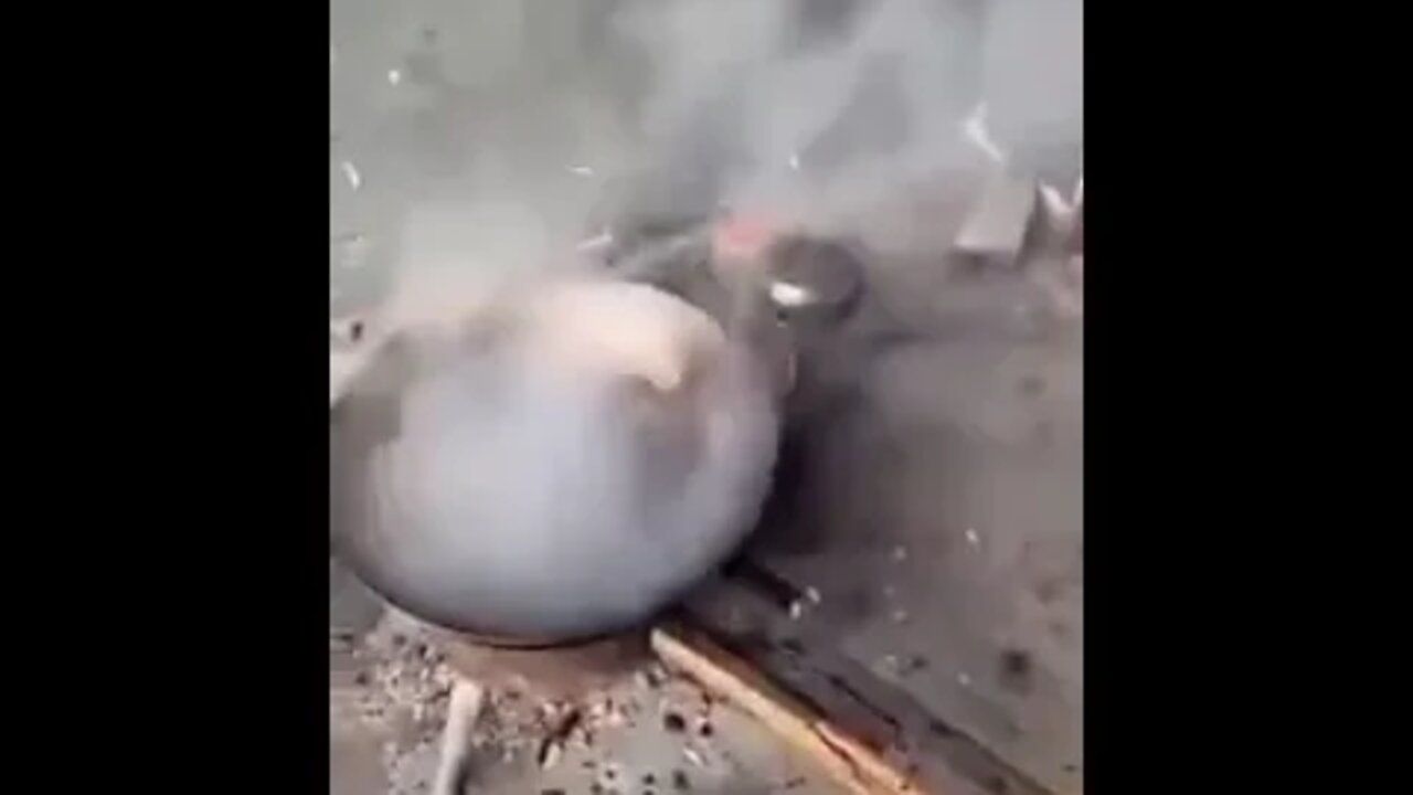 #shorts O MELHOR DOS VIDEOS