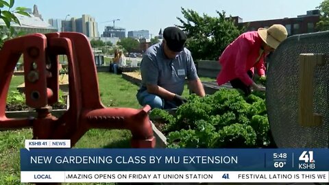 MU Extension offers new gardening class