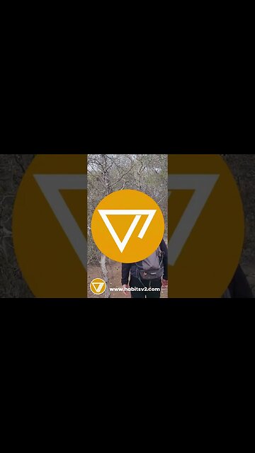 The Right Mindset -Steady growth with a patient mindset is the key here! #sober #mindful #shorts