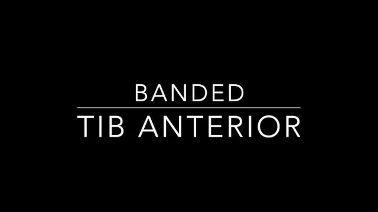 🏋️‍♂️ HOW TO Seated Banded Tib Anterior Flexion | Coach Mike