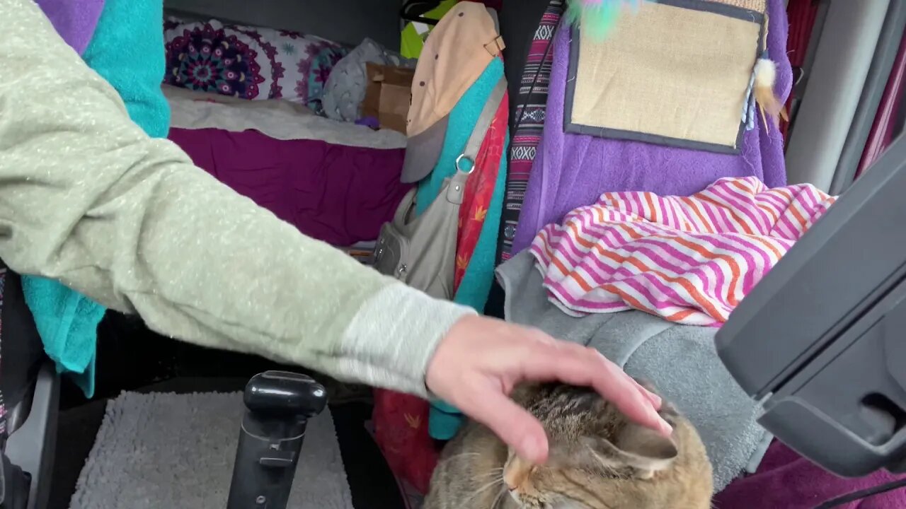 New trick