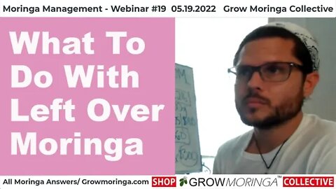 What To Do With Left Over Moringa