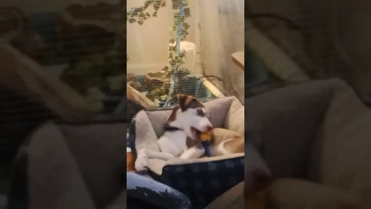 Rush having a short relax.