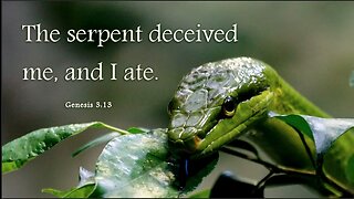 Genesis Chapter 3. The serpent tempts Eve. (SCRIPTURE)