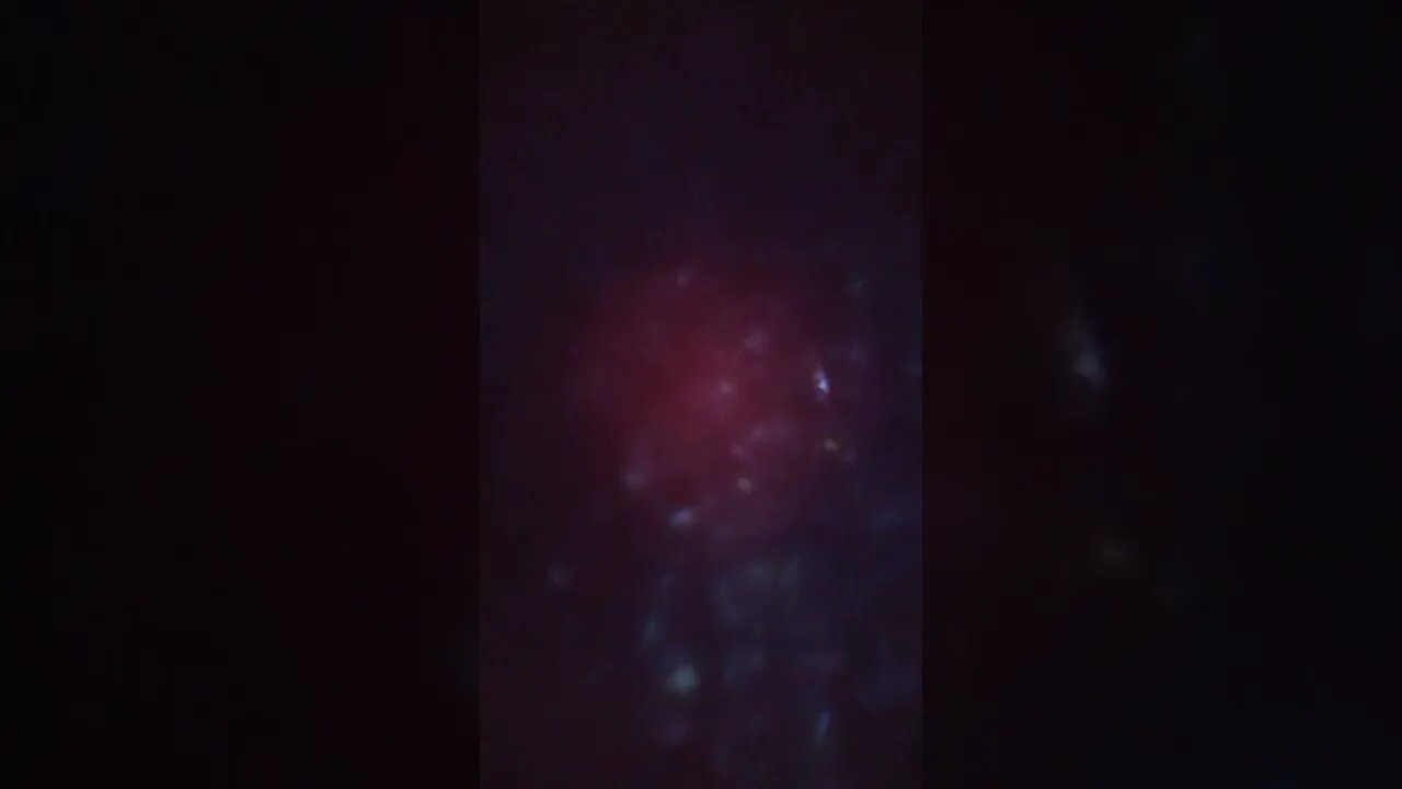 Dave... FELONI right? 🤣🤣🤣 #StopArmingSaudi