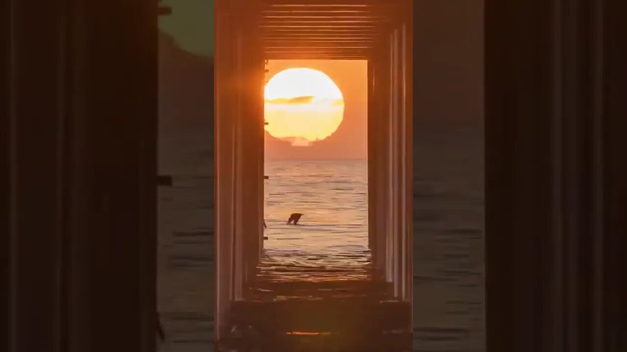 photographers gather here twice a year to see this