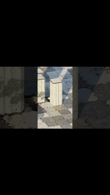 #shorts #2022 funny,prank,funjokes,dad jokes,funny memes,funny video,fun,laughing,funny animal,knock