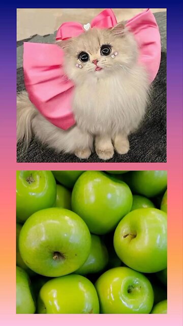 #chooselisaorlena#lisaorlena#lisaandlena#lisalena#lisa#short#viral#tiktok#vs