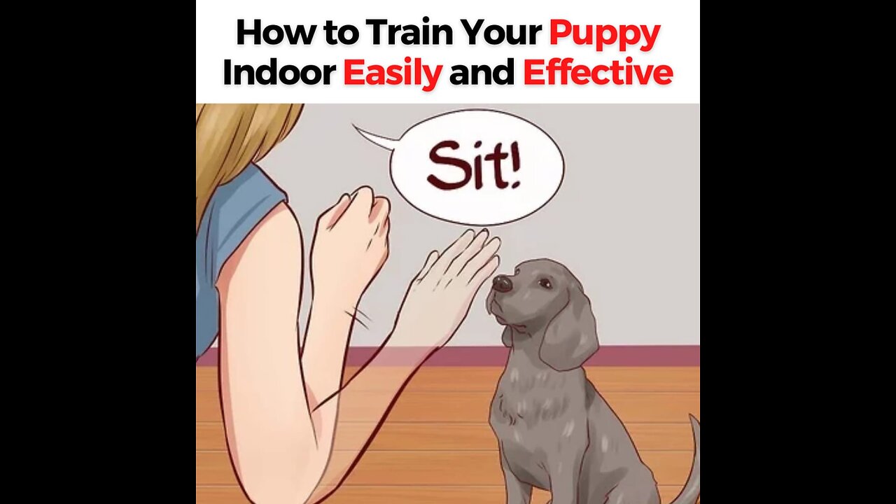 PETS TRAINING