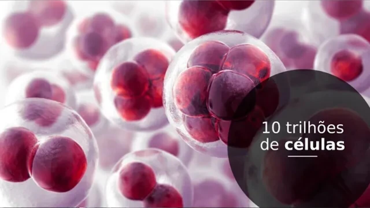 I - Evento de Biofisica voltado para medicos e profissionais da Saude - Palestra Dr Pedro Pustilnik