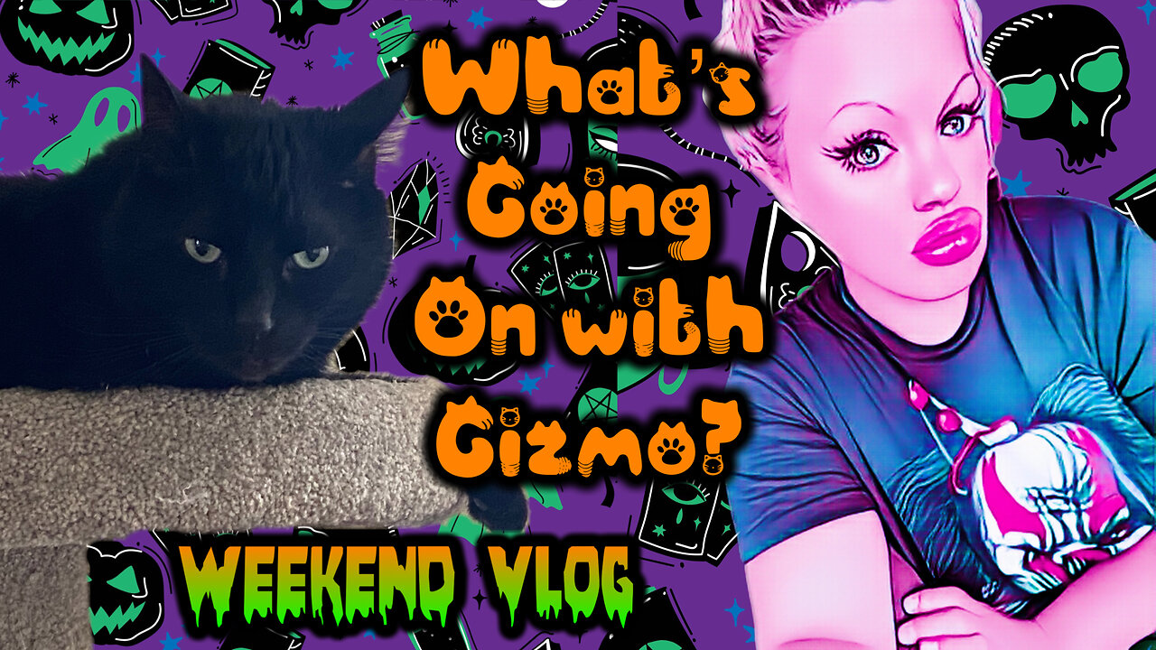 What Is Going On With Gizmo?? Weekend Vlog