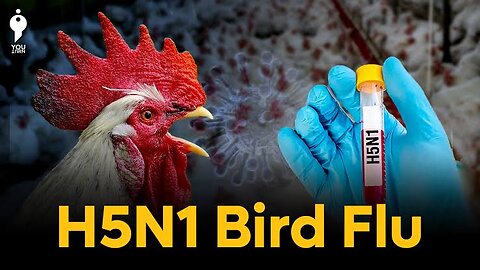 California governor declares state of emergency in response to bird flu