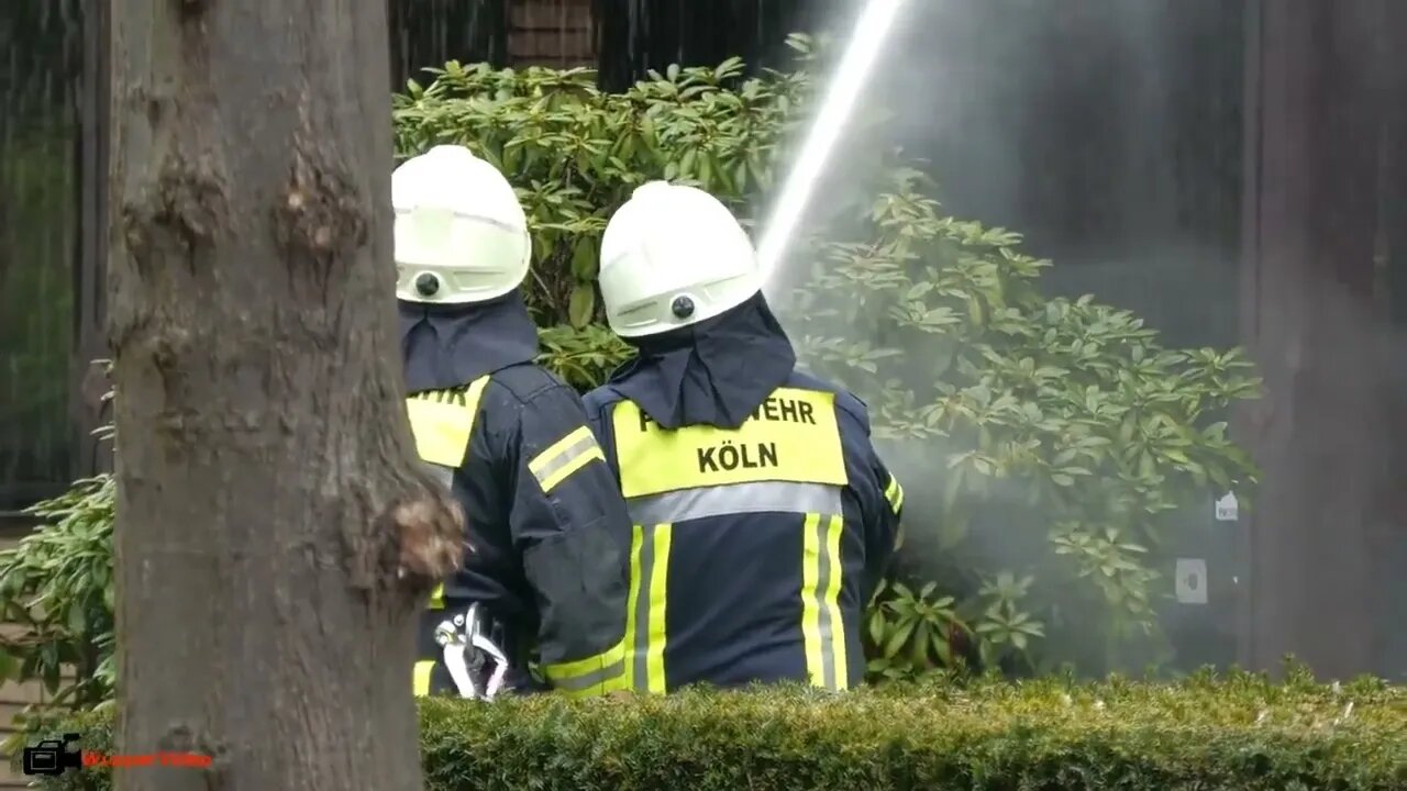 1. Smoke billows from thatched cottage fire