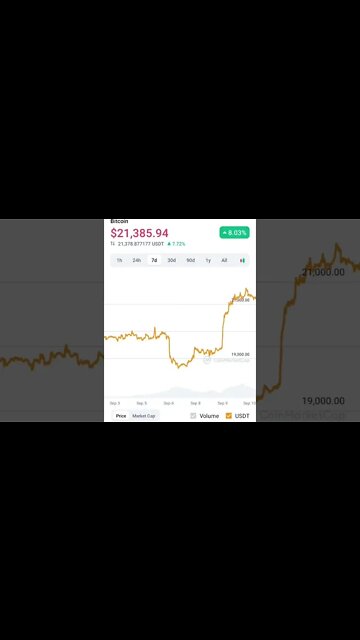 BITCOIN BULLTRAP WHAT TO DO #bitcoin #bitcoinnews #bitcoinbulltrap #cryptomarketanalysis #cryptonews