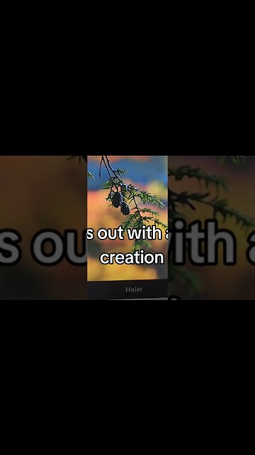 When leaves start to fall!! All creation cries out there's a God!! #autmnvibes #fall #countylife