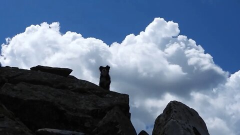 Documenting The Climate Collapse