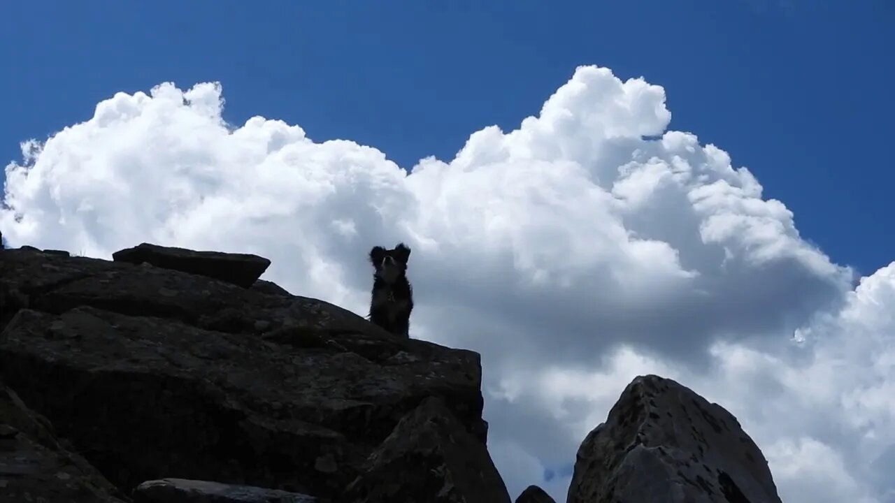 Documenting The Climate Collapse