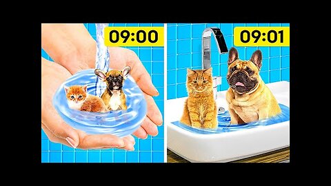 GENIUS HACKS FOR PET OWNERS | USEFUL GADGETS FOR PETS || HD