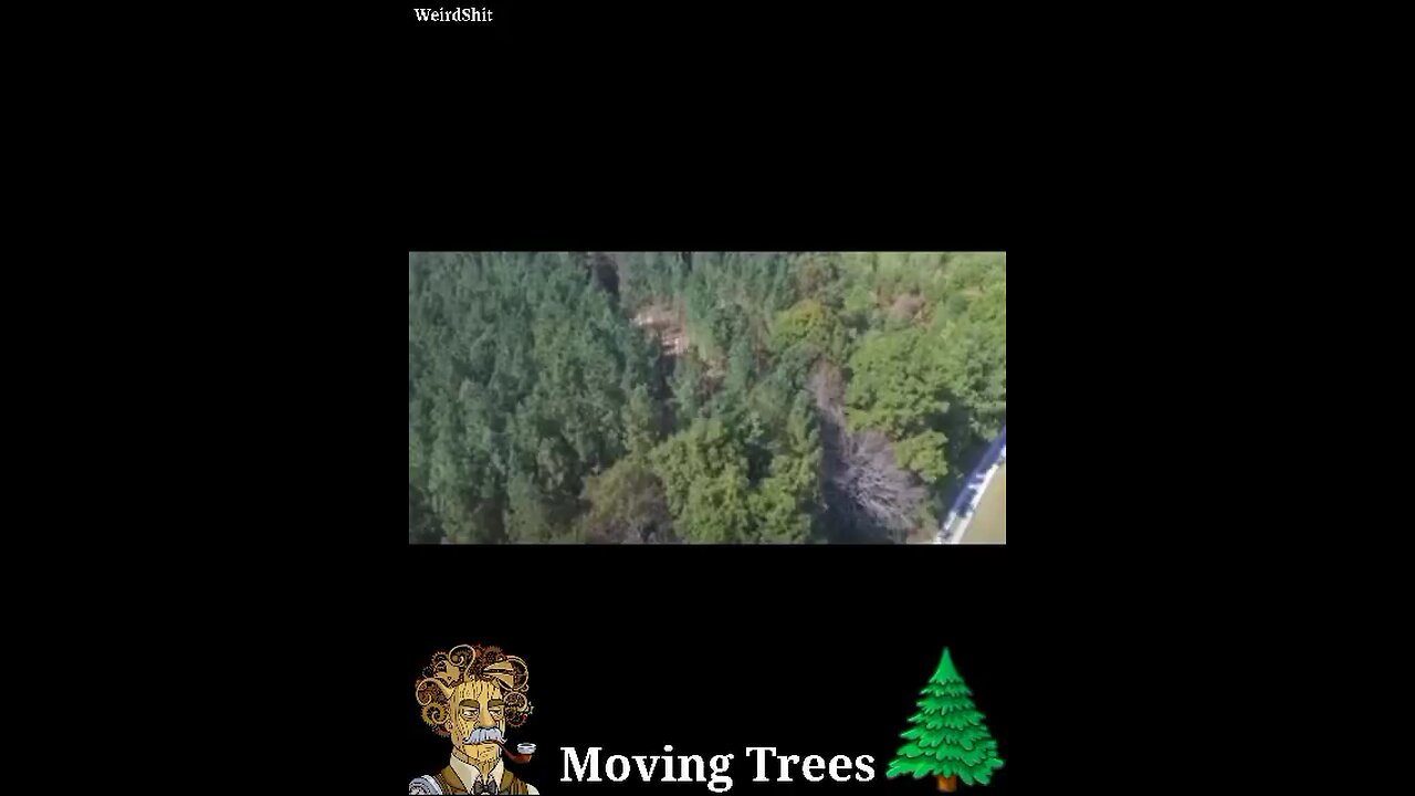 Grown Trees Walking Around The Forest Like Humans! Strange Earth?