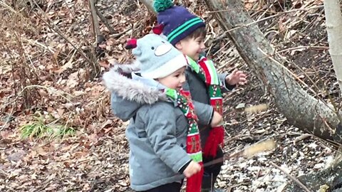 Out for a hike