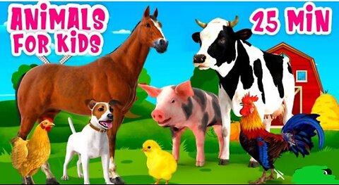 Pets animals