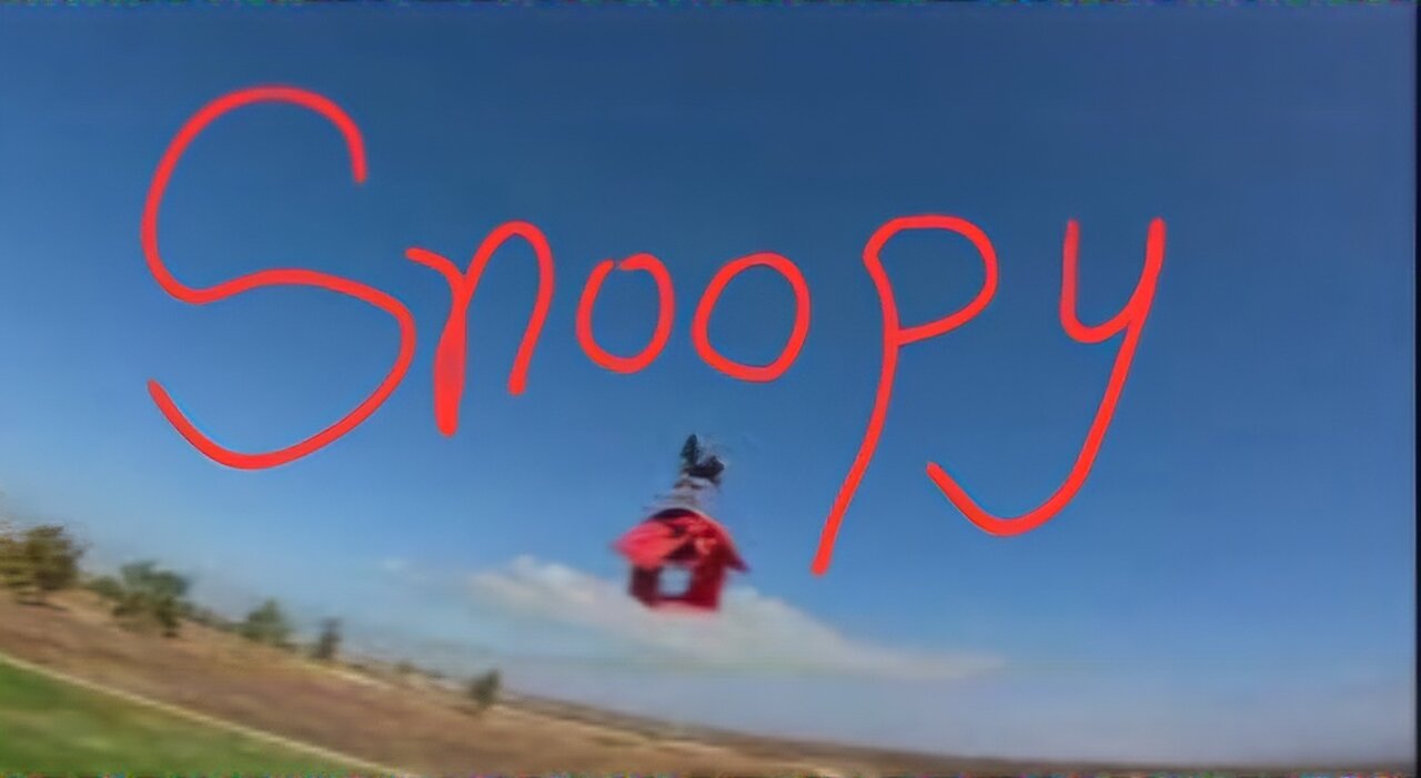 Ultimate Snoopy!