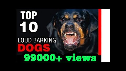 TOP 10 dog barking videos compilation 2023 ♥ Dog barking sound - Funny dogs