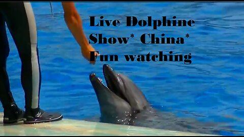 Dolpine Live Show At China - 2023 -- Have Fun