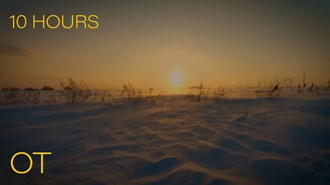 Arctic Snow at Sunset | Howling Wind & Blowing Snow for Relaxation | Sleeping | Studying | 10 HOURS