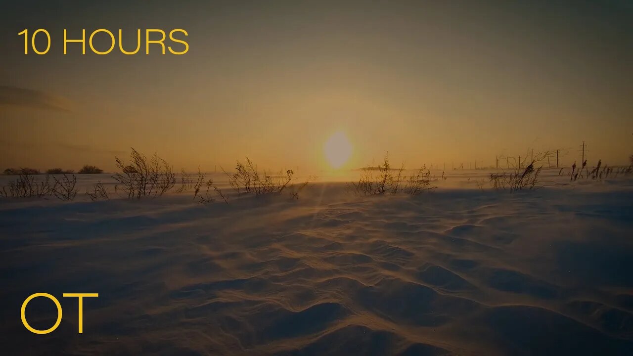 Arctic Snow at Sunset | Howling Wind & Blowing Snow for Relaxation | Sleeping | Studying | 10 HOURS