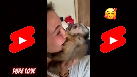Viral Reel #175 🥺Monkey Love Mom - 🥺See Mom Again - 🥺Amazing Relationship #shorts