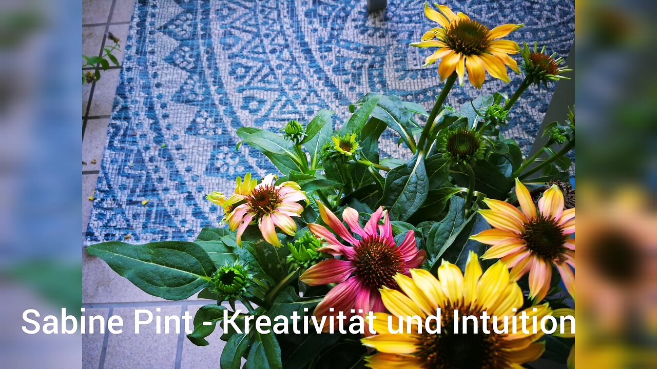 Sabine Pint - Kreativität und Intuition