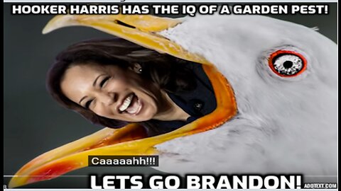 Harris Delivers Remarks About Our Ongoing Work to Establish Norms for Space