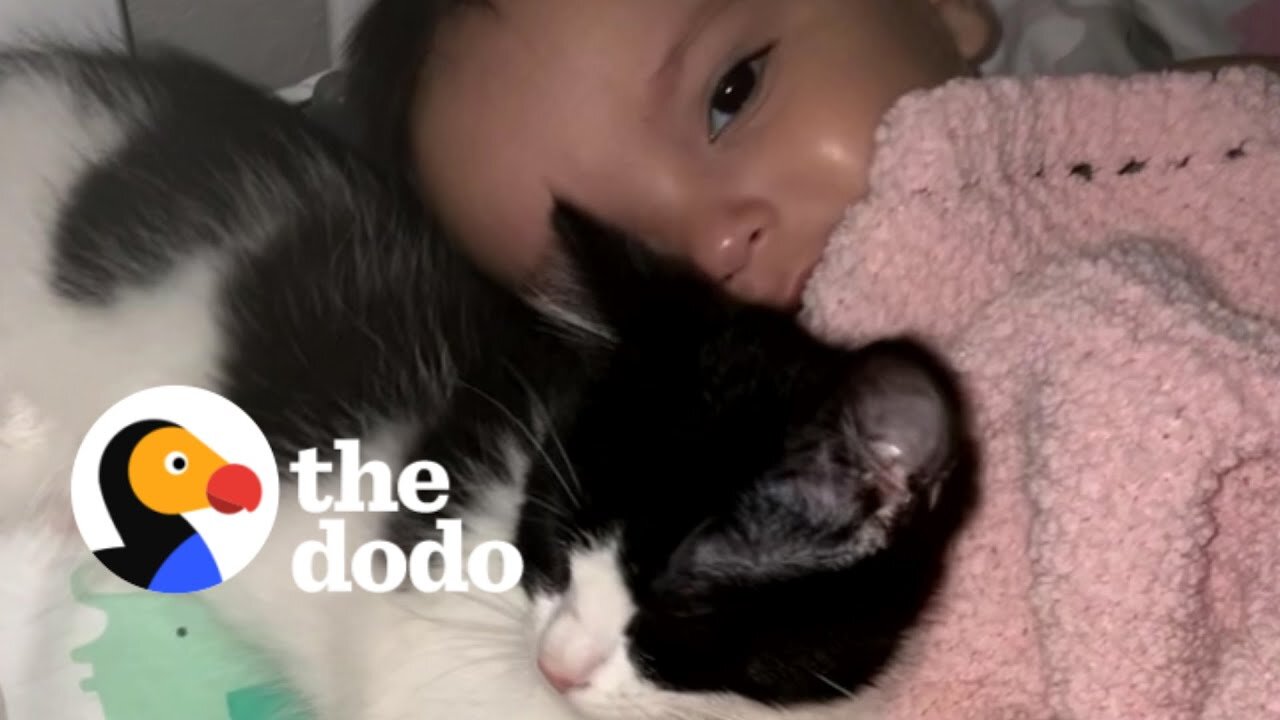 Tiny Rescue Kitten Refuses To Leave Baby Sister's Crib | The Dodo Soulmates