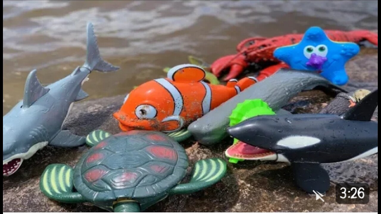 Sea Animal Toys This Summer at the shore