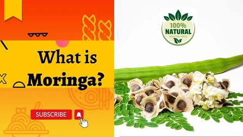 What is Moringa?