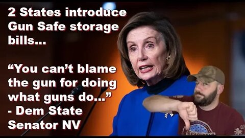 Dems introduce Gun Storage bills in two states one day apart... Dems are striking back...