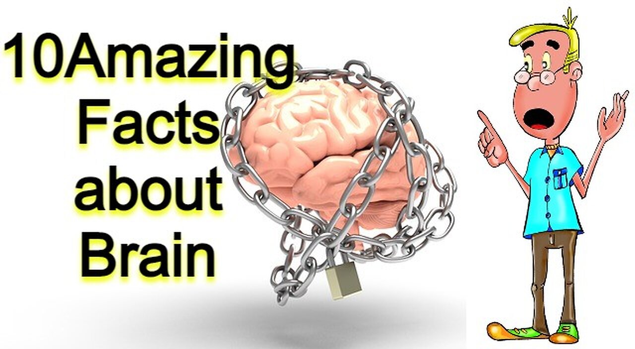 10 facts about the Brain, you may not have heard before!