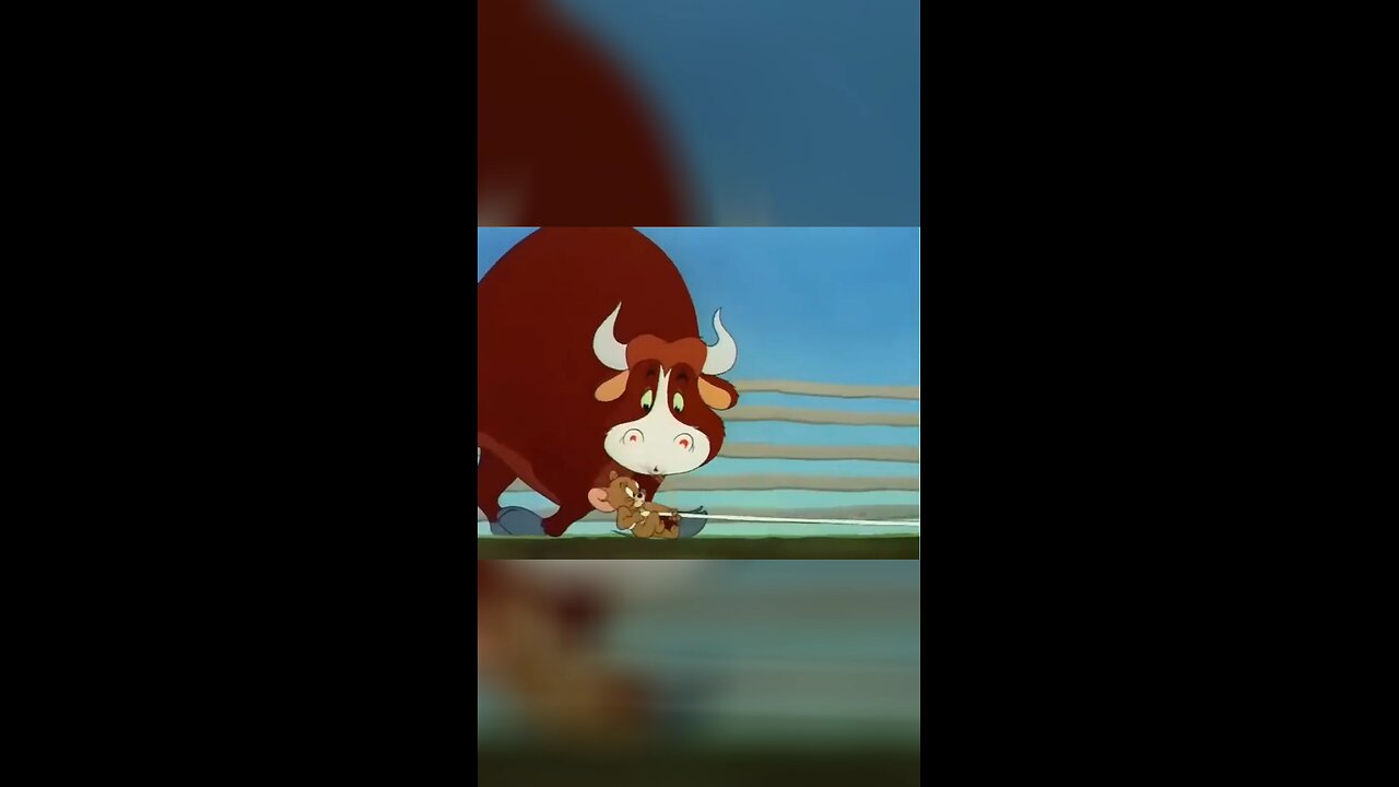 Tom and Jerry 🤣