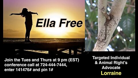 ~Ella Free Interviews Targeted Individual Lorraine~