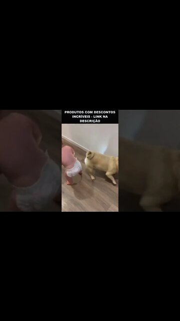 bebê brincando com cachorro