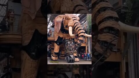 Amezing video