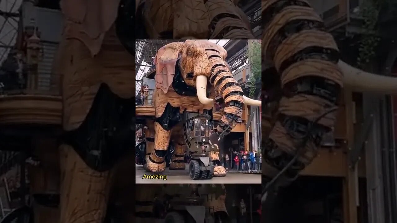 Amezing video