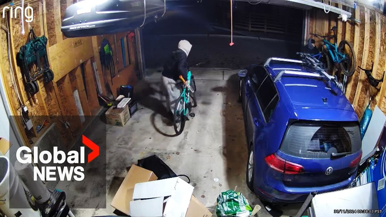 Thieves looting BC garage caught on camera while family was out of town