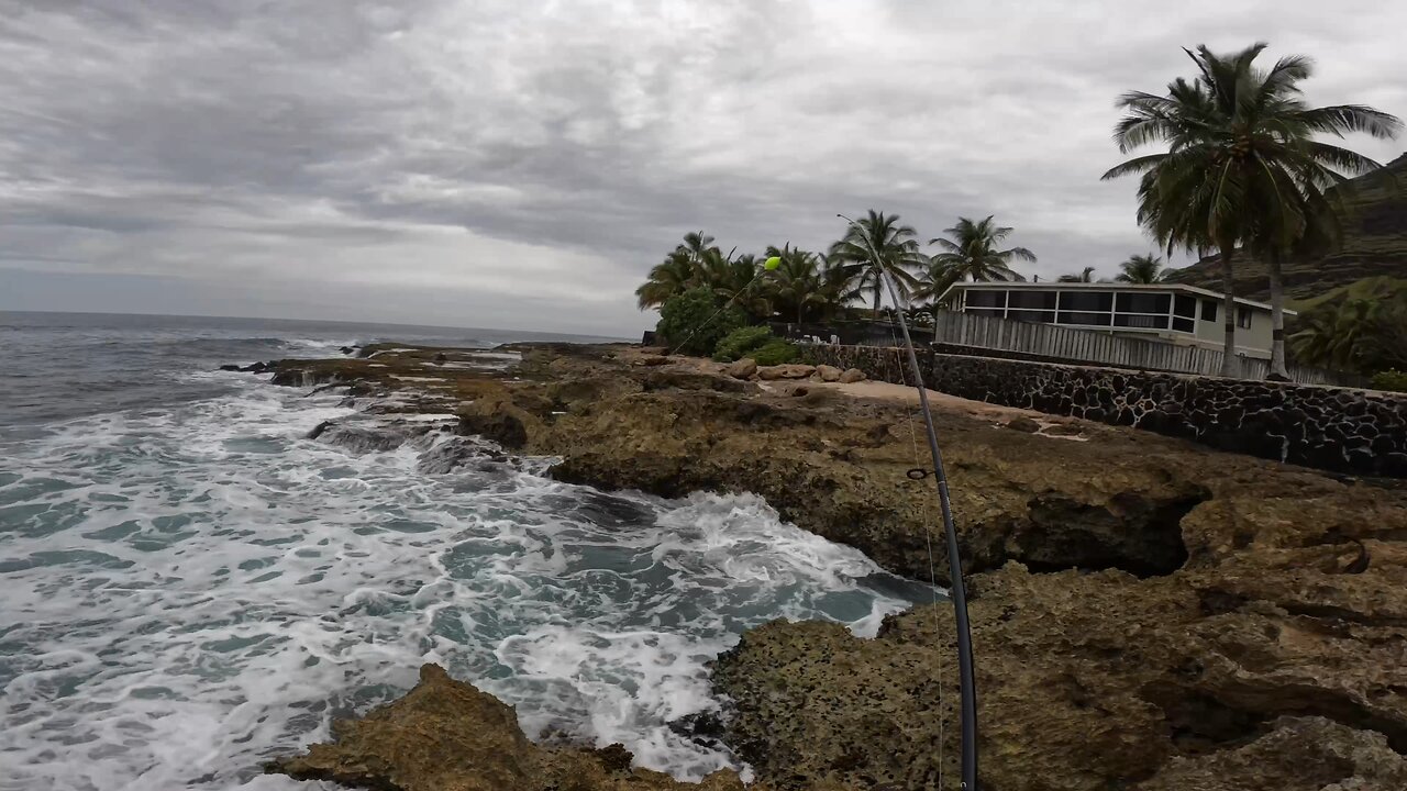 Hawaii fishing. RIP