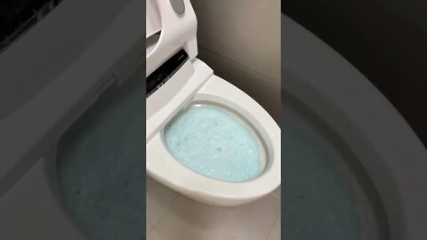 Japanese Girl cleaning her futuristic Toilet 🚽 #satisfying