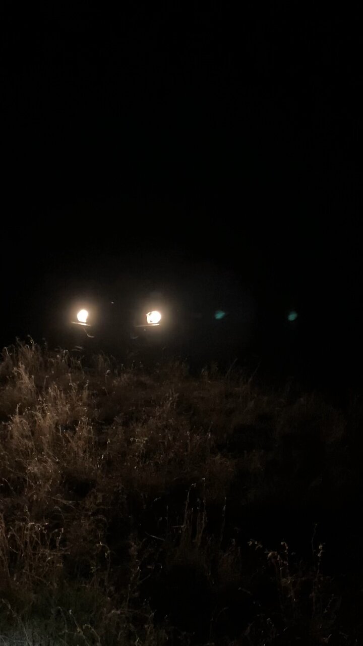 Successful midnight varmint hunt! thumbnail