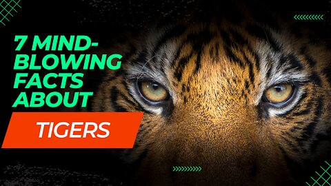 7 Roaring Tiger Facts: Unleashing the Wild Secrets of the Jungle's Majestic Stripes!