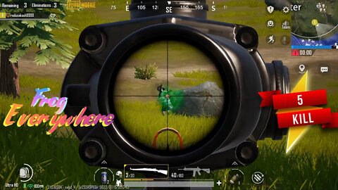 Frog Everywhere | PUBG Gameplay | Noob GAMER |